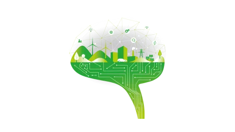 brain_green